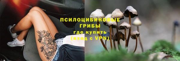 МДПВ Абдулино