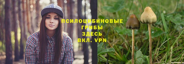 МДПВ Абдулино