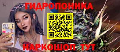 Альфа ПВП Бердск
