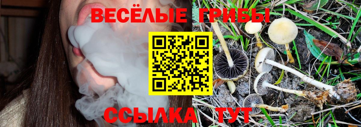 Галлюциногенные грибы Magic Shrooms Канск