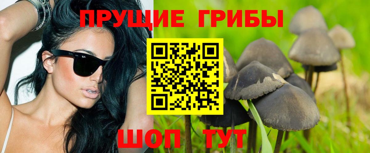 Галлюциногенные грибы Magic Shrooms  Вход с VPN  Канск  Псилоцибиновые грибы мухоморы 